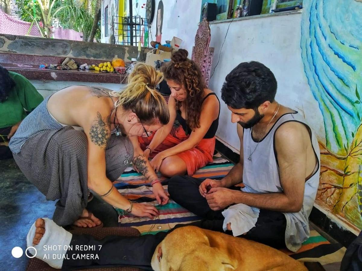 Bunkd Hostel, アンジュナ エクステリア 写真